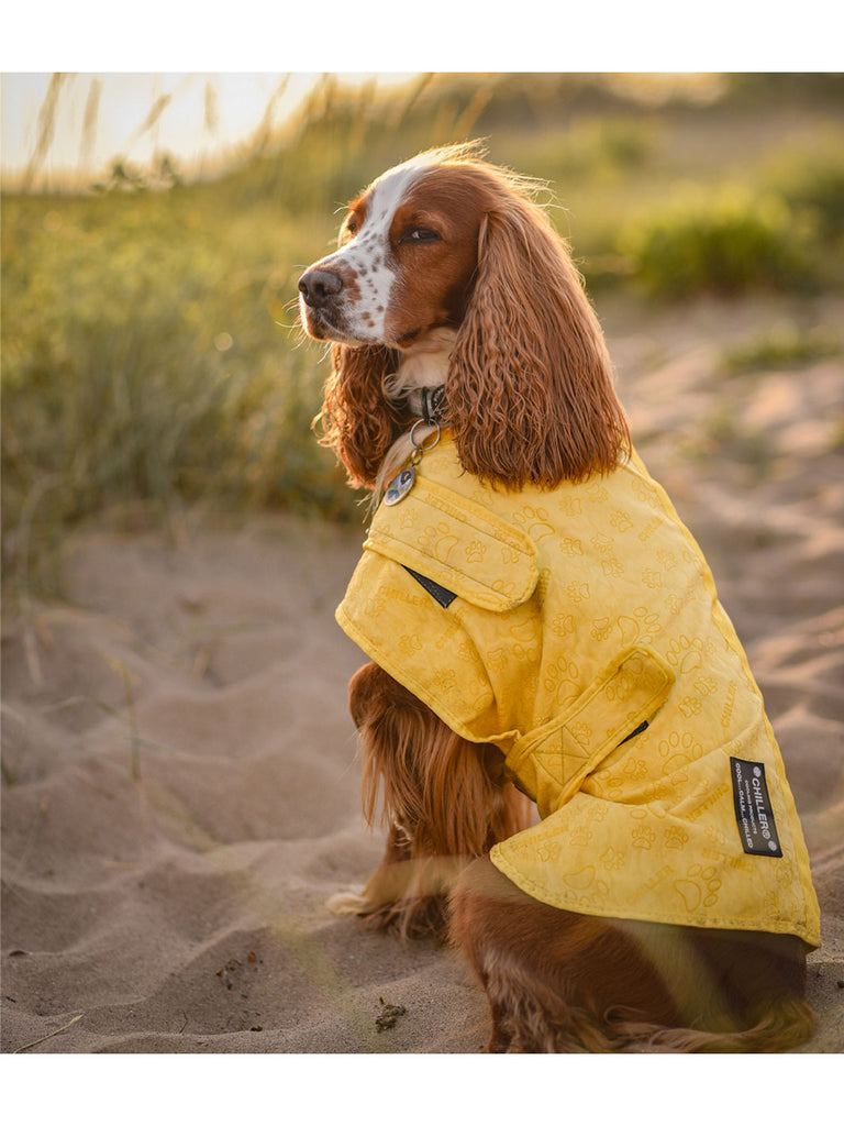 Dog Cooling Vest Chiller® Chien (20% OFF)