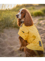 Dog Cooling Vest Chiller® Chien