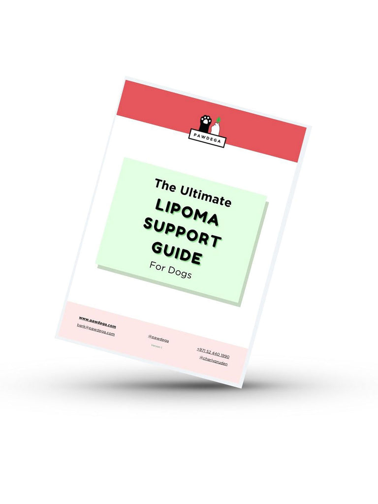 The Ultimate Lipoma Support Guide