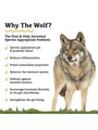 The Wolf - Species Appropriate Pre & Probiotic