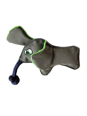WO Wild Elephant Dog Toy